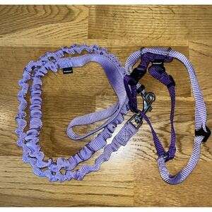 PetSafe Come With Me Kitty Cat Harness & Bungee Leash Medium Lilac Purple Walk
